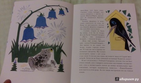 Иллюстрации из книги серая Звездочка