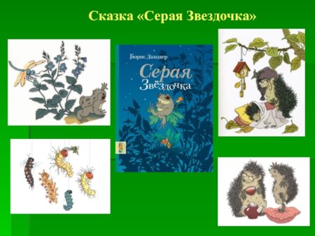 Заходер б.в. "серая Звездочка"