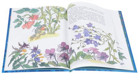 Жаба и роза Гаршин