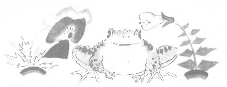 Заходер серая Звездочка раскраска