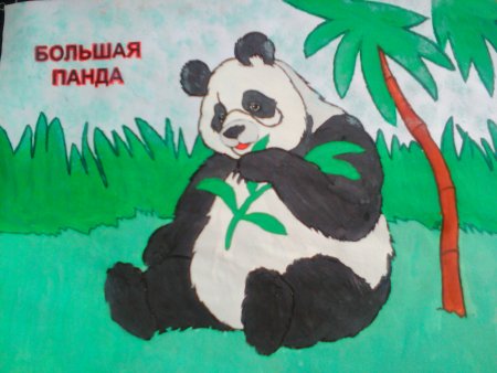 Большая Панда рисунок