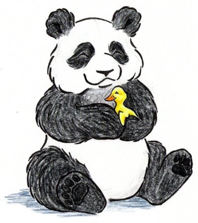Панда рисунок карандашом