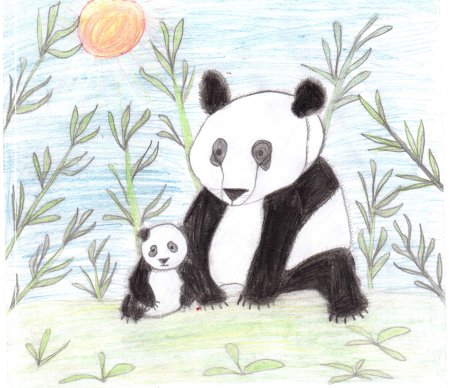 Картинки Панда карандашом