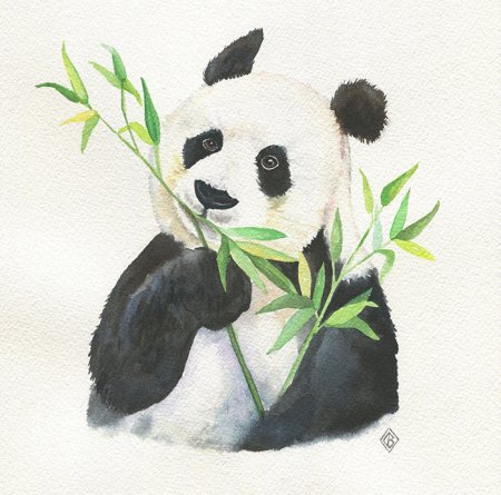 Панда рисунок