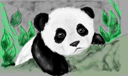 Легкая Панда для рисования