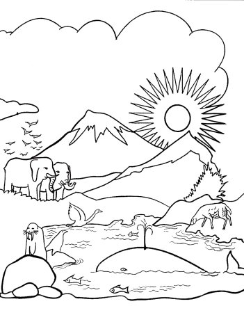 Дни творения для детей в картинках