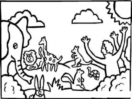 Сотворение мира растений