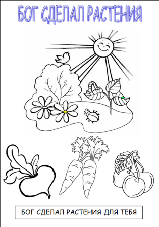 Сотворение человека урок в воскресной школе