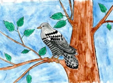 Кукушка сен Санс