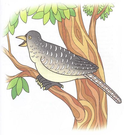 Кукушонок рисунок для детей