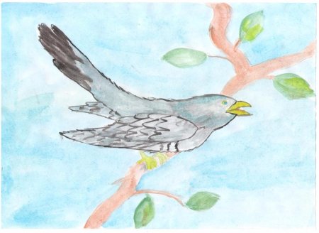 Перелетные птицы Башкирии рисунки