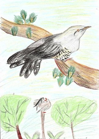 Благинина Кукушка