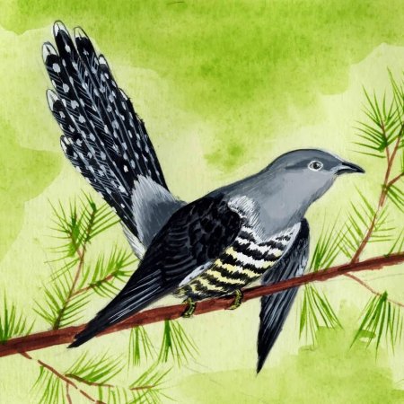 Кукушонок для дошкольников