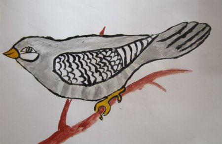 Кукушка раскраска