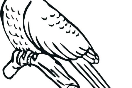 Кукушка эскиз