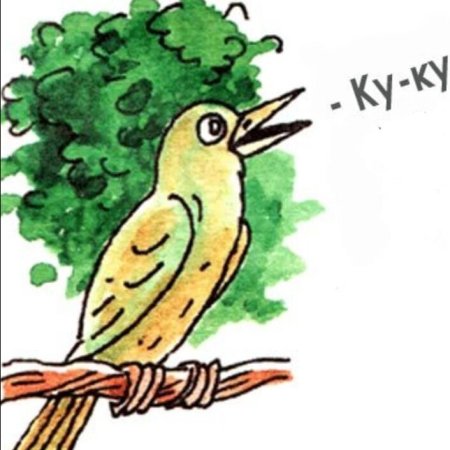 Кукушка раскраска