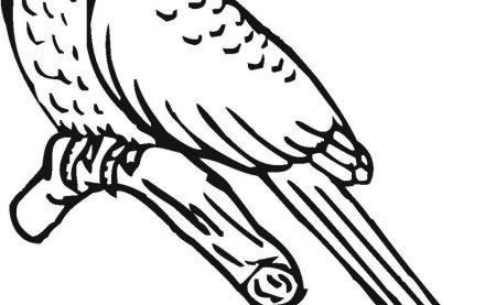 Кукушка Ненецкая народная сказка