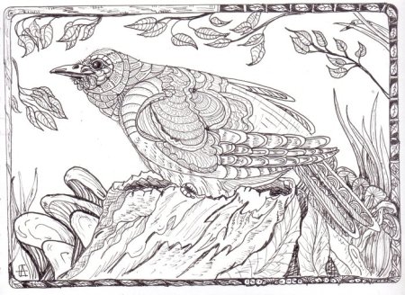 Соловей раскраска для детей