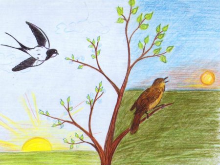 Соловей раскраска