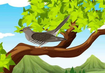 Рисование карандашом кукушки в цвете