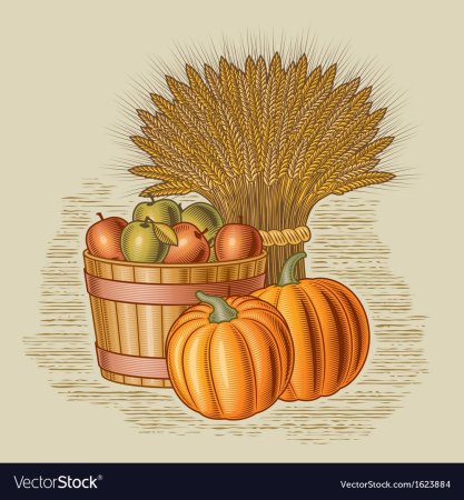Урожай рисунок