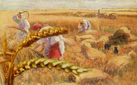 Ремизов хлебный Колос