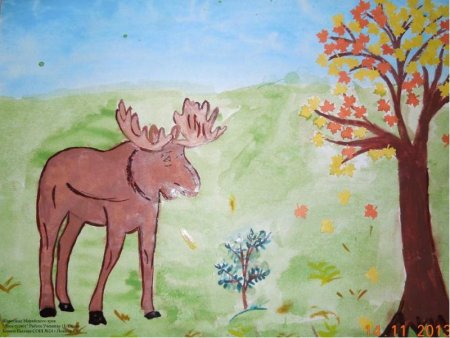 Рисунки природы Марийского края