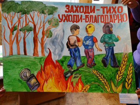 Рисунок на тему сохранение лесов