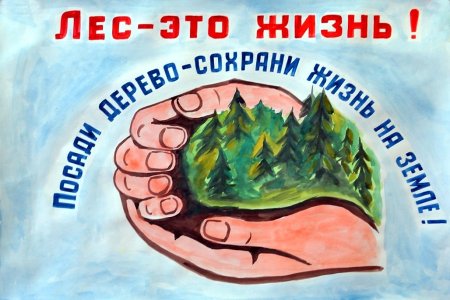 Плакат по защите природы