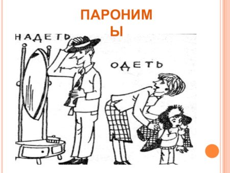 Паронимы иллюстрации