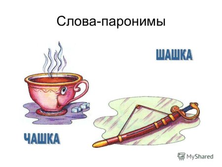 Паронимы картинки