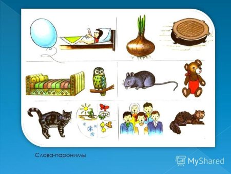 Слова паронимы