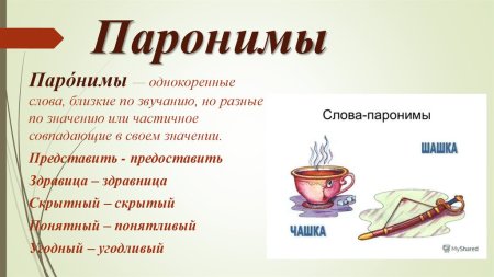 Паронимы примеры