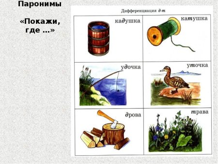 Паронимы картинки