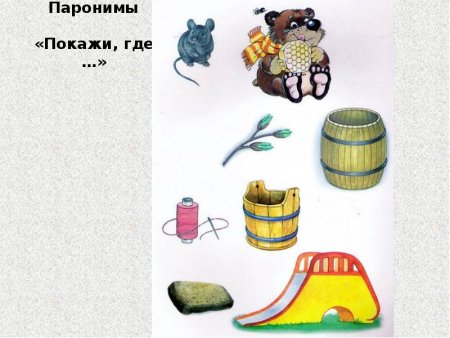 Карточки с паронимами