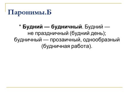 Будний будничный паронимы