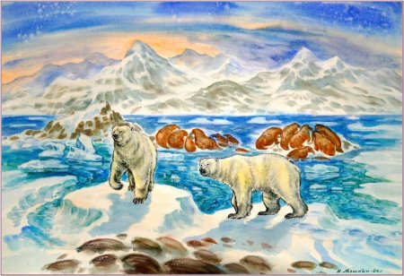 Экспедиция в зоне арктических пустынь