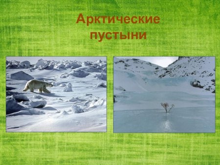 Природный комплекс арктических пустынь