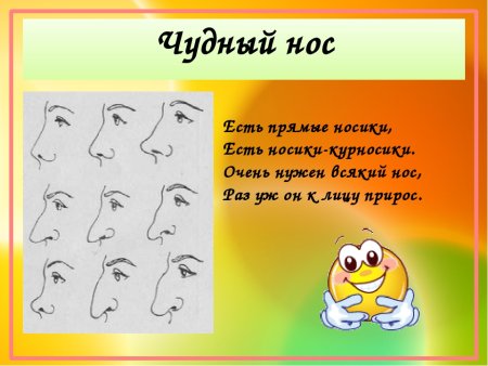 Стихотворение про нос