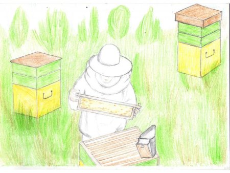 Рисование на ульях
