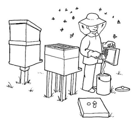 Съедобная картинка Пчеловод, лист А4. Вафельная/сахарная картинка.