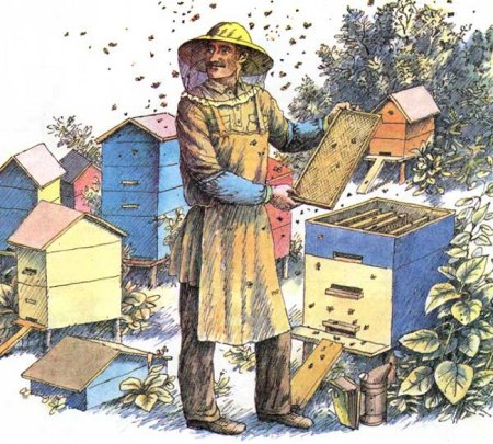 Пчеловод (Пасечник) профессия