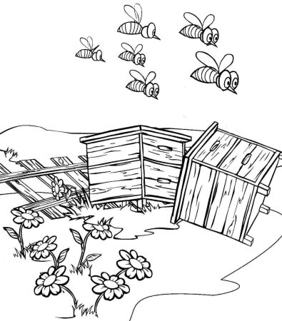 Пасека раскраска для детей