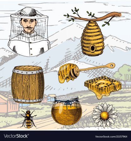 Рисунок пчеловод на пасеке