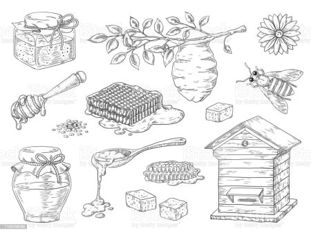 Мед рисунок карандашом