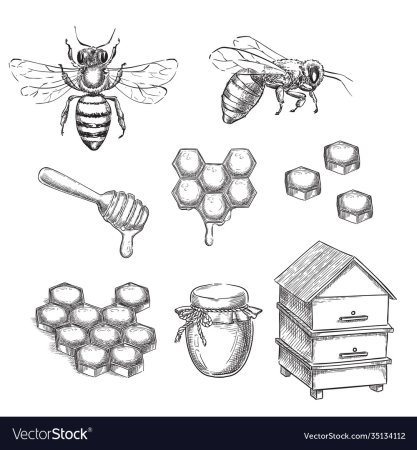 Раскраска улей для пчел