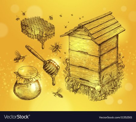 Рисование улей с пчелами