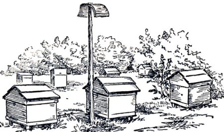 Ульи для пчёл карандашом
