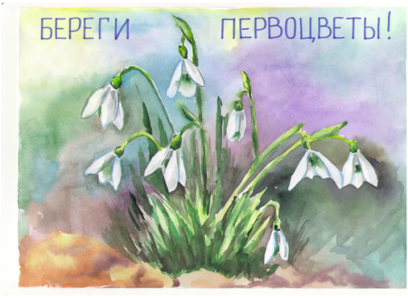 Сбережем первоцветы