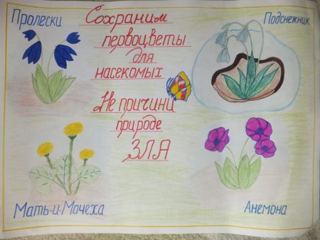 Плакат берегите цветы